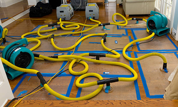 Professional Water Extraction technician working in Atwater, MN